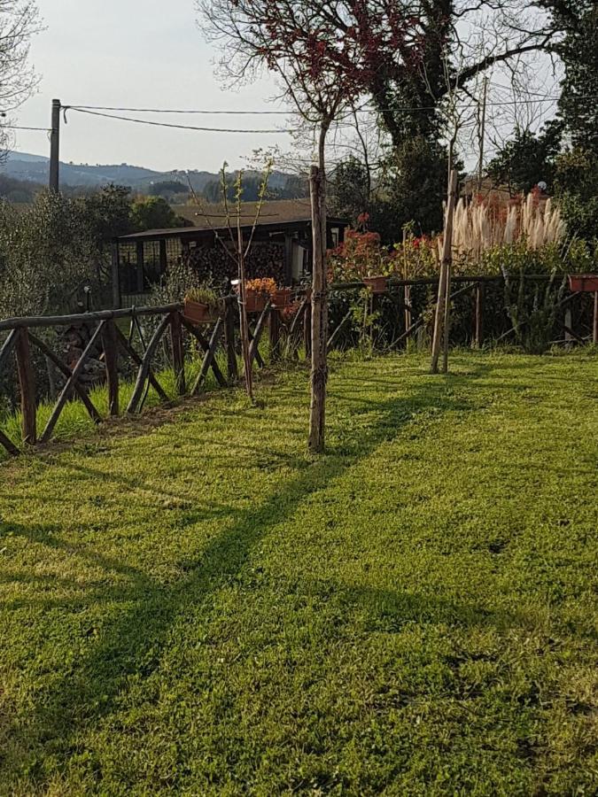 B&B La Casetta Di Lilly Amelia Zewnętrze zdjęcie